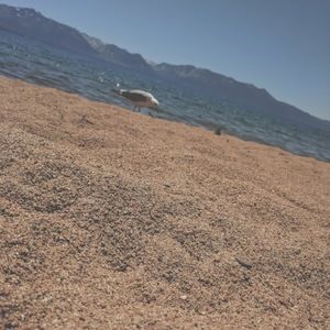 Meet your Posher, Kathryn